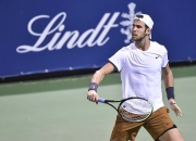 AYX-包含蒂姆关键节点高光表现，美国队带队取胜！的词条